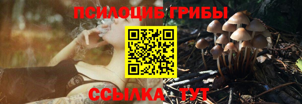 Советская Гавань  Псилоцибиновые грибы Magic Shrooms  Вход с VPN 